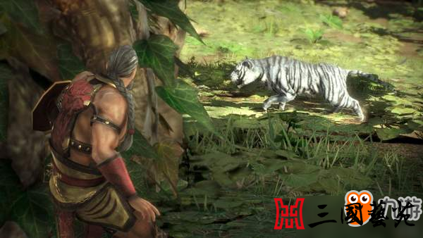 ����������˫8����Ԥ�桢��ͼ�ų� ���ܳ�û���˺ú���